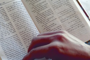 Bilinguale Bibel  (Foto: UBS)